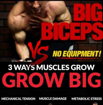 🚨HOW TO BIG MUSCLE GROW | GUIDE