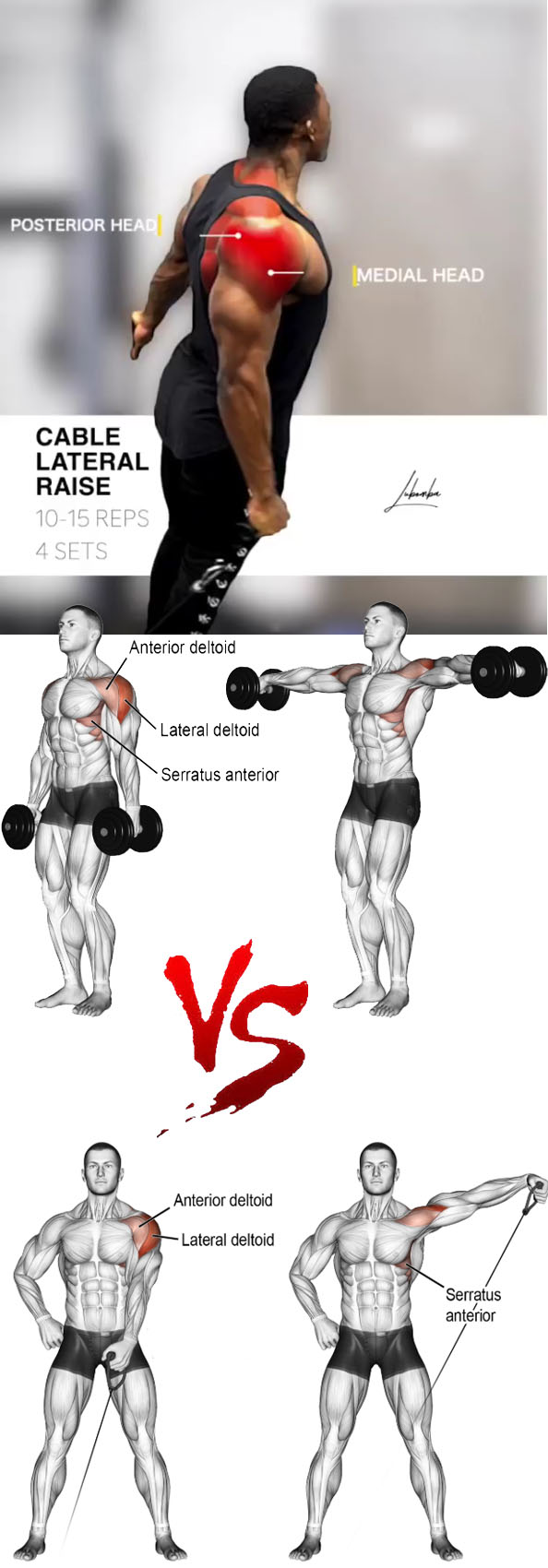 Cable Lateral Raise