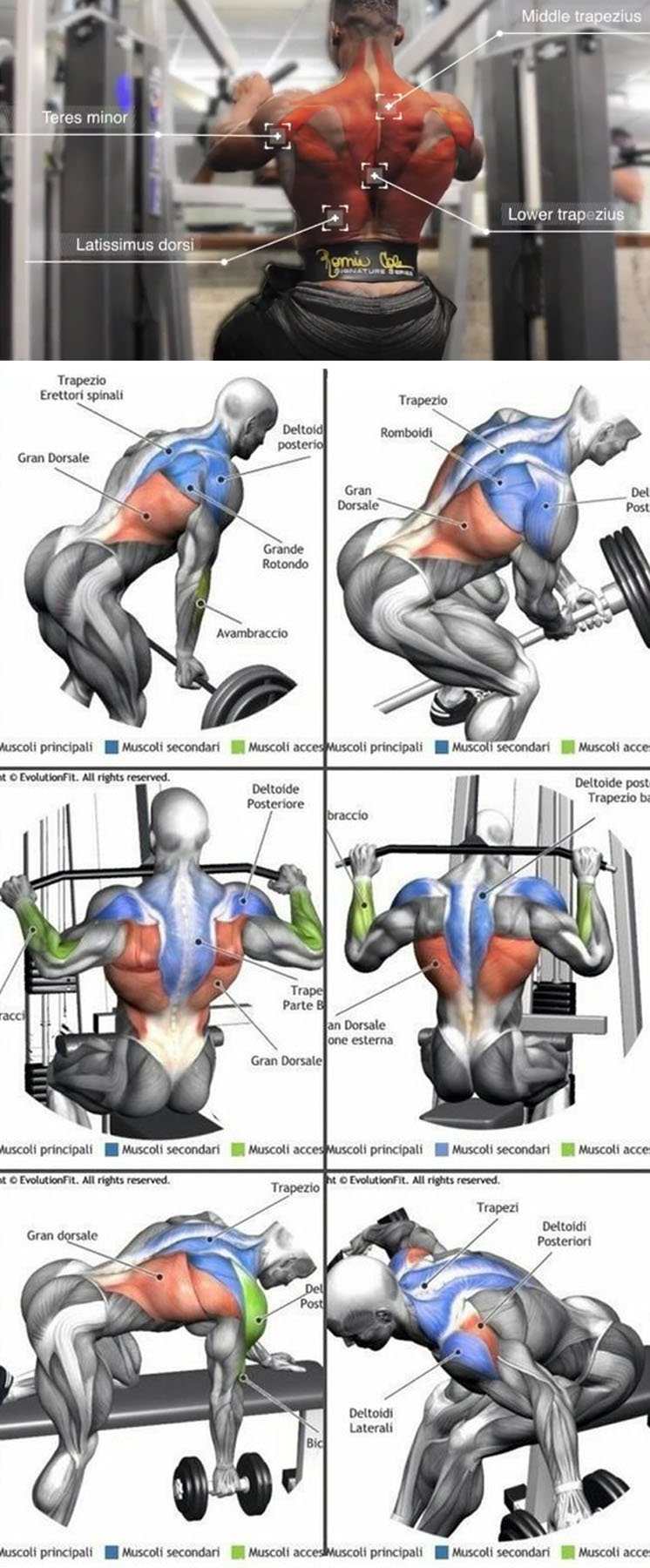 LAT PULLDOWN | EXERCISES FOR HUGE BACK
