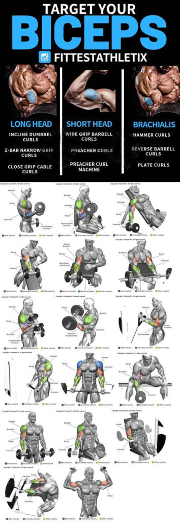 HOW TO TARGET YOUR BICEPS FOR GROW