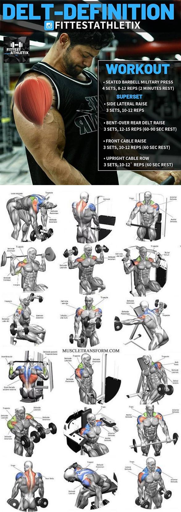 The Delts Workout