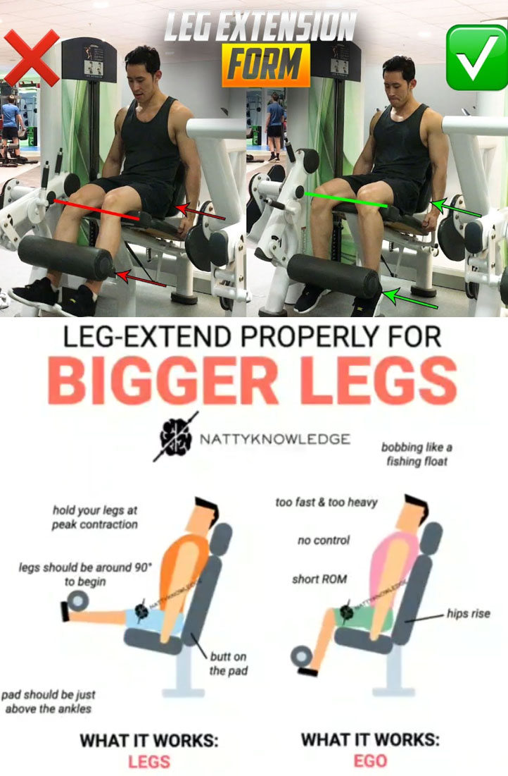HOW TO LEG EXTENSION 