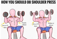 DUMBBELL SHOULDER PRESS GUIDE