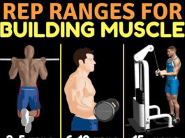REP RANGES FOR BUILDING MUSCLE