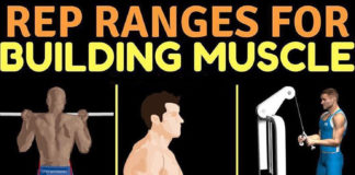 REP RANGES FOR BUILDING MUSCLE