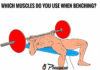 WHICH MUSCLES DO YOU ISE WHEN BENCHING