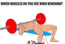 🔥HOW TO WHICH MUSCLES DO YOU ISE 👇WHEN BENCHING? WHICH MUSCLES DO YOU ISE WHEN BENCHING