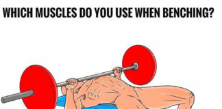 WHICH MUSCLES DO YOU ISE WHEN BENCHING