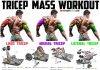 How to Do Build Big Triceps