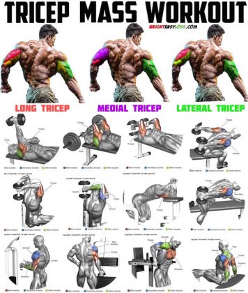 How to 5 Build Big Triceps, Types, Benefits & Guide