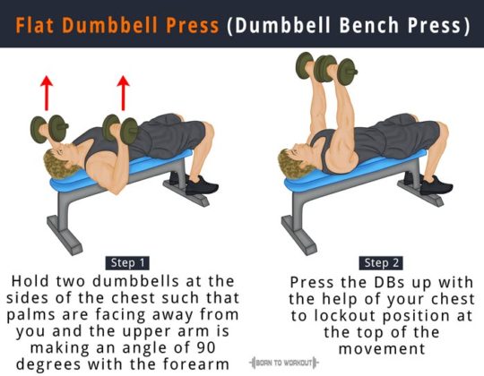 HOW TO BUILD YOUR CHEST | GUIDE