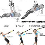 TRX 20 Min Total Body Workout