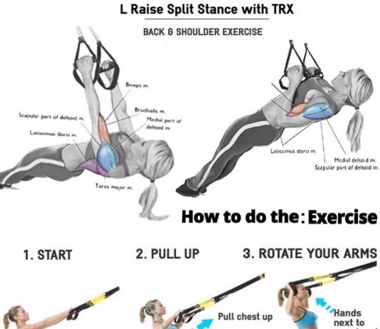 How to 20 Min TRX Gym for Total Body Workout