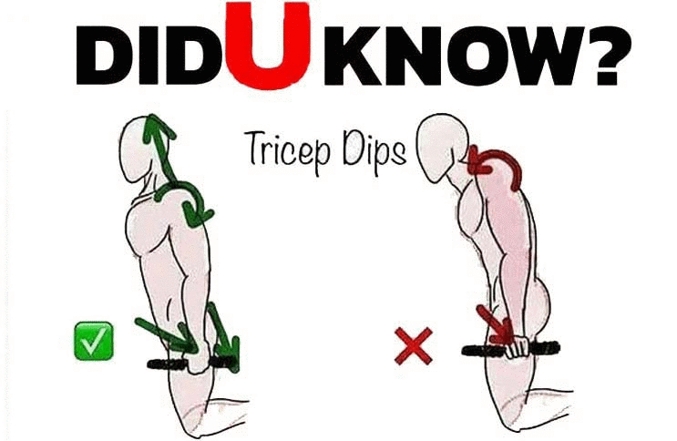 How to Do Triceps Dip - Uneven bars