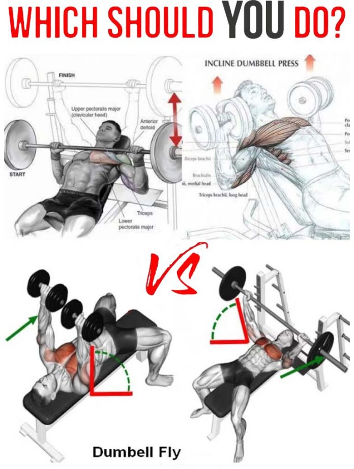 How to Do The Best Dumbbell Press VS. Barbell Press, Tips, Benefits