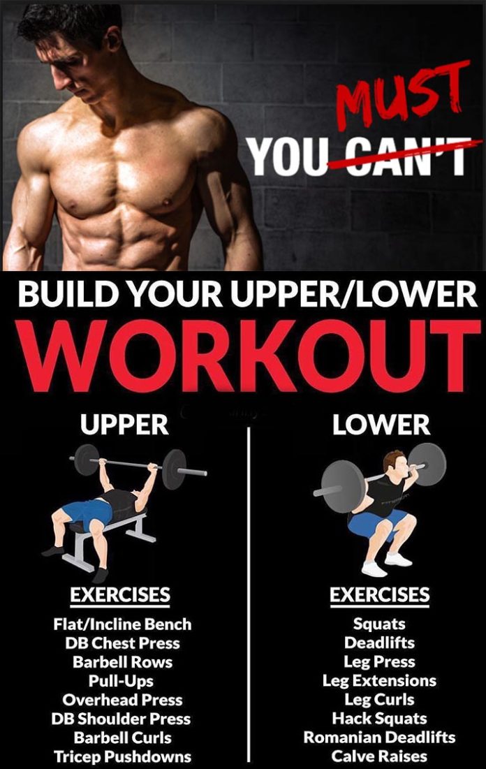 BUILD YOUR UPPER/LOWER WORKOUT SPLIT