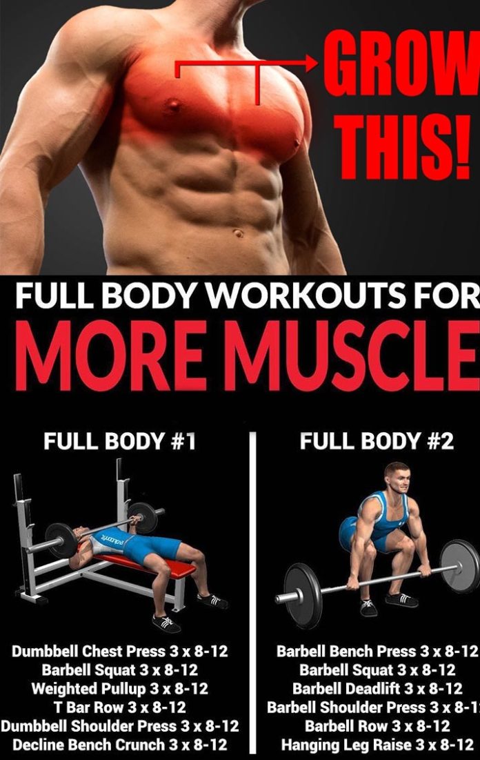 BUILD YOUR UPPER/LOWER WORKOUT SPLIT