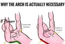 🔥 Build a Powerful Chest 👇| Guide