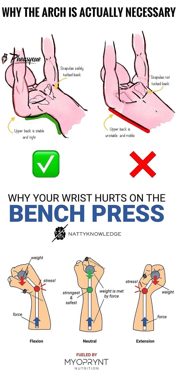 Bench Press 