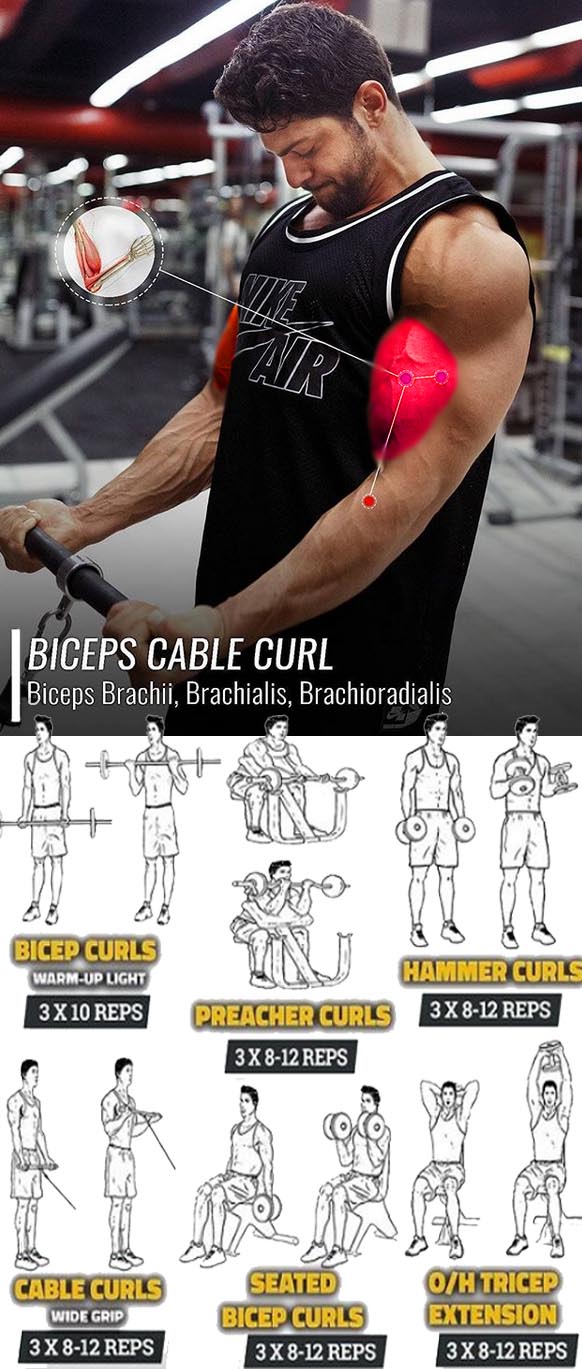 Biceps Cable Curl