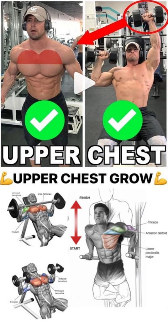 HOW TO UPPER CHEST | VIDEO & GUIDE