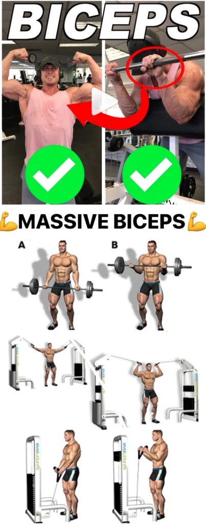 BICEPS & TRICEPS WORKOUT | GUIDE