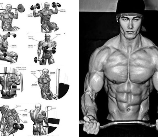 🔥 3 Best Gym Workouts for Getting the Toned Body