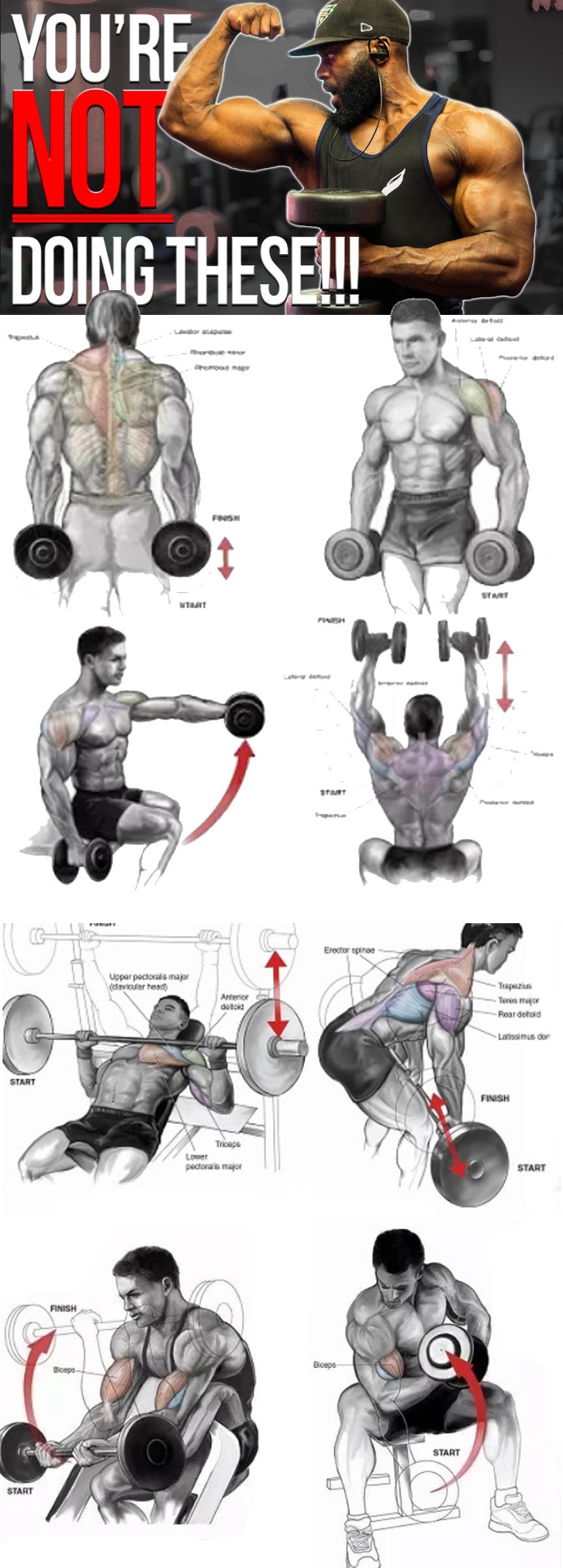 Complex Exercise Guide