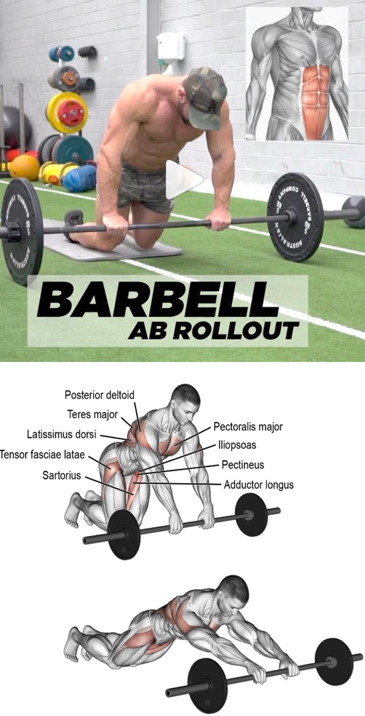 Barbell rollout exercise