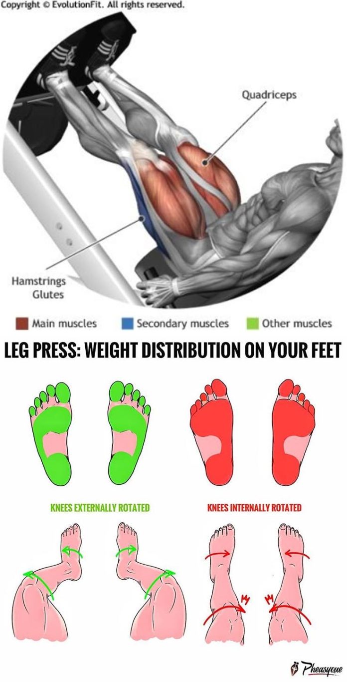 LEG PRESS WEIGHT DISTRIBUTION ON YOUR FEET