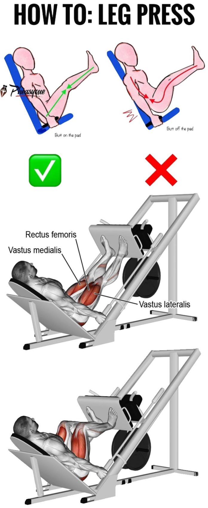 LEG PRESS WEIGHT DISTRIBUTION ON YOUR FEET