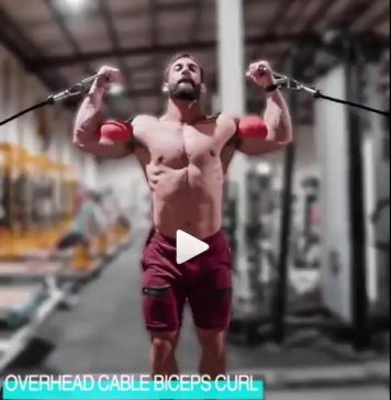 3 Best Biceps Exercises for Men’s | Arm Workouts & Tips Bicep Exercises