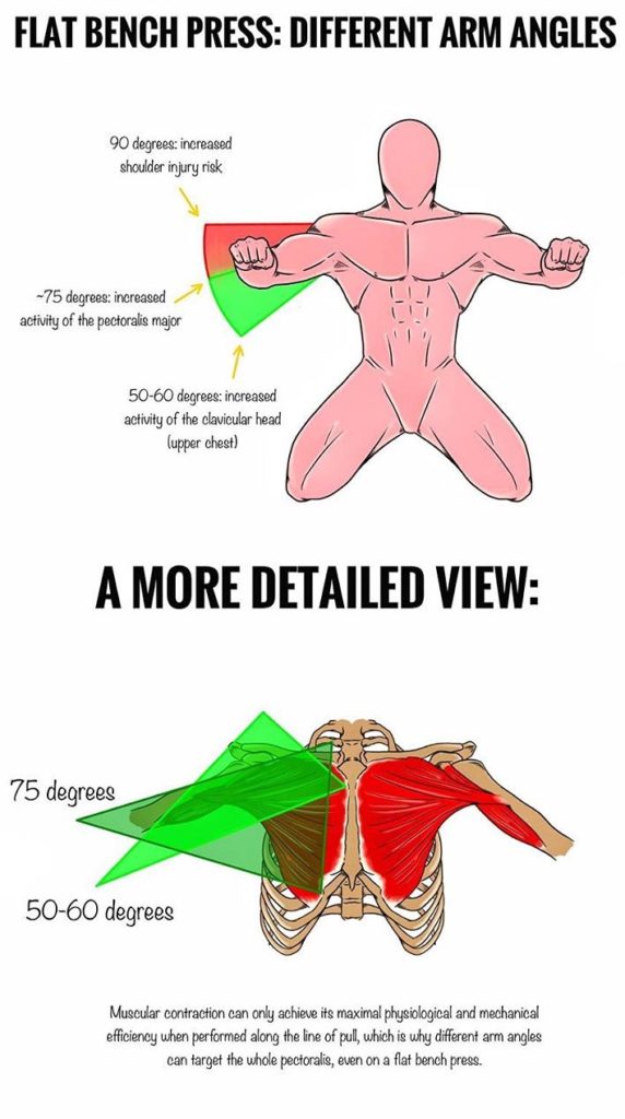 BENCH PRESS DIFFERENT ARM ANGLES FOR DIFFERENT PURPOSES