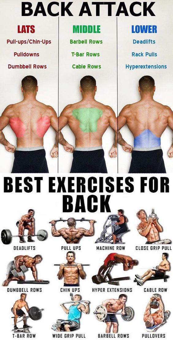 Best Exercises for Back