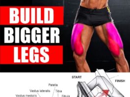 🔥BUILD BIGGER LEGS EXERCISES 👇| GUIDE