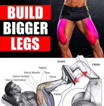 🔥BUILD BIGGER LEGS EXERCISES 👇| GUIDE