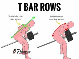 🚨HOW TO T BAR ROWS | GUIDE