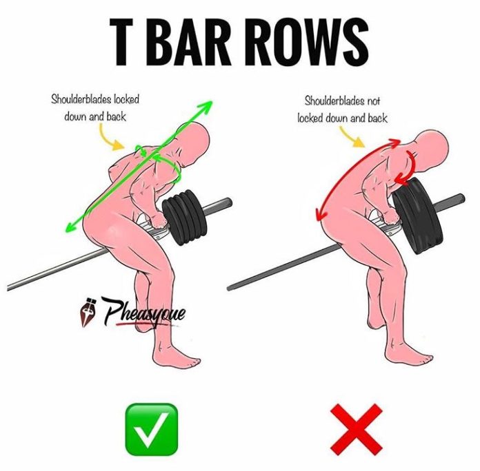 HOW TO T BAR ROWS | GUIDE