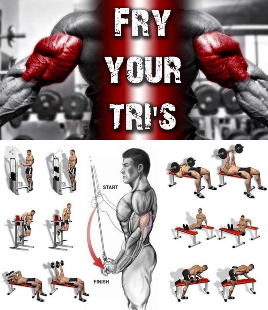 Tutorial Triceps Superset 0198