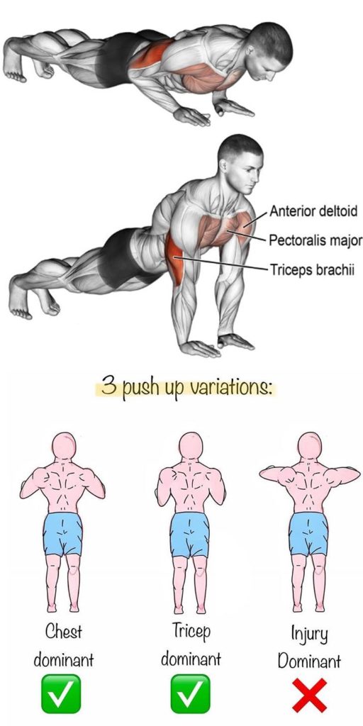 TUTORIAL PUSH UPS | GUIDE