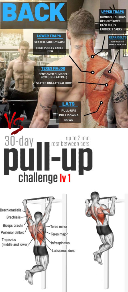 HOW TO BACK ISOLATION | GUIDE