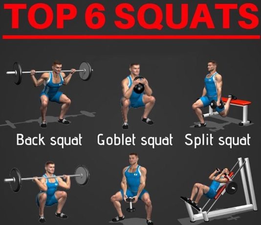 🚨TOP 6 SQUATS EXERCISES | GUIDE