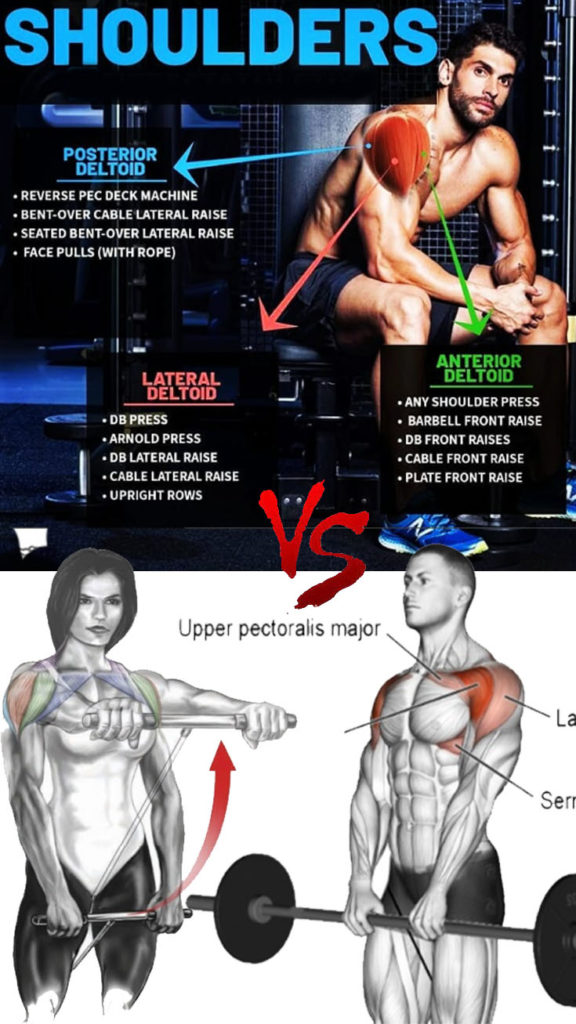 HOW TO SEATED CABLE FRONT RAISE