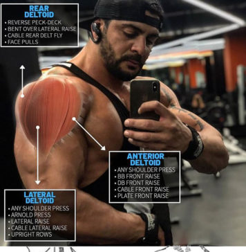 🚨WORKOUTS FOR FULLER LOOKING SHOULDERS