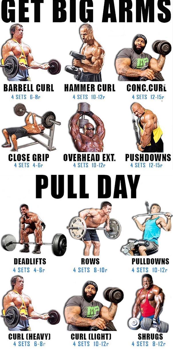 PULL DAY 
