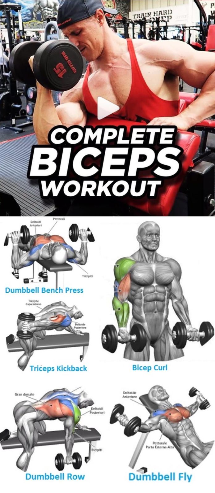 TUTORIAL BICEPS WORKOUT | GUIDE