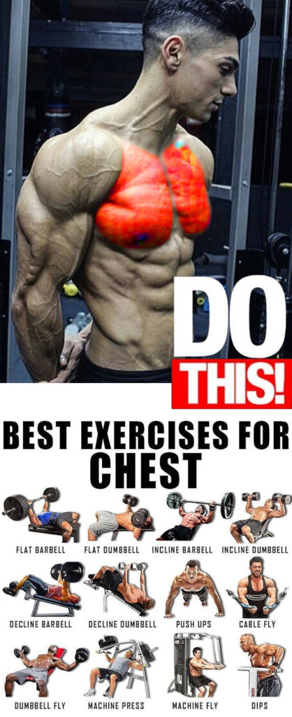 BASE IMPORTANT CHEST EXERCISES & GUIDE