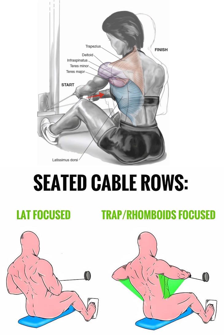 SEATED CABLE ROWS