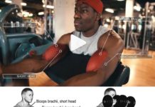 🚨Biceps Preacher Curls |👇 Video & Guide