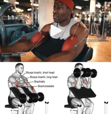 🚨Biceps Preacher Curls |👇 Video & Guide